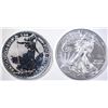 Image 1 : 2019 BU AMERICAN SILVER EAGLE & 2019 BRITANNIA