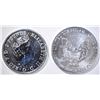 Image 2 : 2019 BU AMERICAN SILVER EAGLE & 2019 BRITANNIA