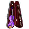 Image 1 : Violin and Case