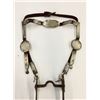 Image 2 : Indian Bridle with Hand-Forged Arrow Bit