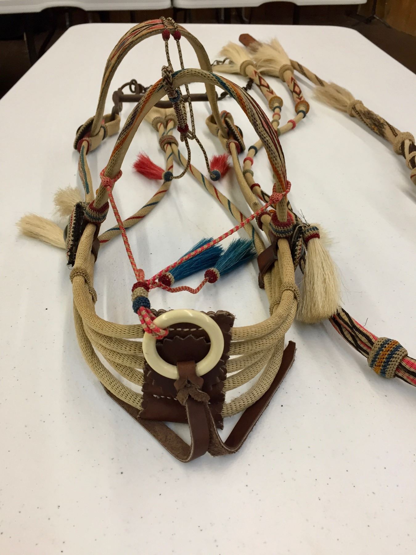 Deer Lodge, Hitched Horse Hair Bridle