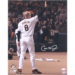 Cal Ripken Jr. Signed Baltimore Orioles 16x20 Photo (JSA COA)