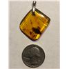 Huge Insect in this one Beautiful Amber Pendant Filled with Insects and Plants Total 4 Grams Sterlin