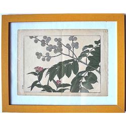 sakai Hoitsui  leaves & flowers  Woodblock Print #6