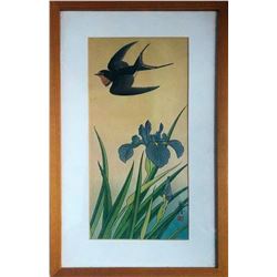 Jo Hashimoto - Swallow Bird (w/ Framed)