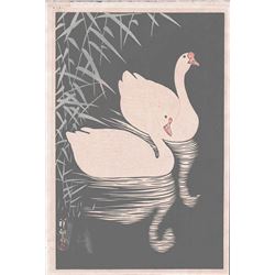 OHARA KOSON -SWAN