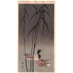 Yamamoto Shoun - Mallards in Reeds