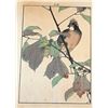 Image 1 : Japanese Woodblock Print (Unsigned artist) - "Bird on a Branch"
