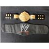 Image 1 : WWE WORLD HEAVYWEIGHT CHAMPIONSHIP MINIATURE BELT W/ CASE