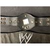 Image 3 : WWE WORLD HEAVYWEIGHT CHAMPIONSHIP MINIATURE BELT W/ CASE