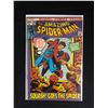Image 1 : THE AMAZING SPIDER-MAN #106 (MARVEL COMICS)