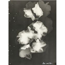 Lee Miller American Modernist Photogram on Paper