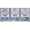 Image 2 : Lot of 1977Mo-1979Mo Mexico 100 Pesos Silver Coins NGC MS64