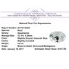 Image 1 : 4.21 ct.Natural Oval Cut Aquamarine