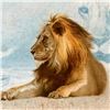 Image 2 : Mike Kupka - "The Great Lion" Limited Edition Giclee on Canvas from Disney Fine Art, Numbered 100/49