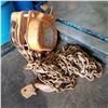 Image 1 : 5 TON CHAIN HOIST