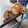Image 2 : 5 TON CHAIN HOIST