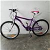 Image 1 : PURPLE AVIGO GLASS BIKE