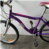 Image 2 : PURPLE AVIGO GLASS BIKE