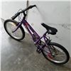 Image 3 : PURPLE TRIUMPH BIKE