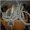 Image 2 : 2 SAFETY LINES