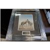 Image 1 : "SPARRING ELEPHANTS" BY ROBERT BATEMAN #25134