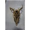 Image 4 : DEER SKULL AND HORNS