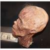 Image 2 : CRIMINAL MINDS ROTTEN MUMMY SEVERED HEAD KEEPER QUALITY GORE!