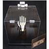 Image 1 : MECHANICAL HAND IN ACRYLIC DISPLAY CASE PROP