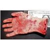 Image 1 : SEVERED HAND LATEX AND FOAM FOR HAUNT OR INDY FILM 1