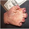 Image 2 : SEVERED SILICONE HAND WITH SEVERED FINGERS