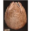 Image 1 : DISNEY ALIEN EGG FROM UNKNOWN PRODUCTION