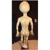 Image 3 : THE X-FILES COLONIST COMPLETE ALIEN EXCELLENT DISPLAY ON STAND