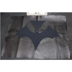 BAT WOMAN CHEST GLYPH AND MATERIAL TEST PANEL 2