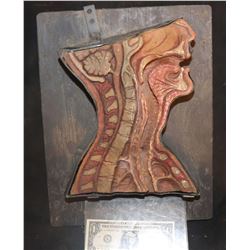 ALIEN 3 HUMAN THROAT CROSS SECTION THAT SHOWED FACEHUGGER IMPALING A VICTIM