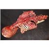 Image 3 : DEVOURED CORPSE STRIPPED OF FLESH