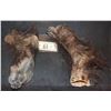 Image 2 : WEREWOLF FEET MATCHED WEARABLE SET WITH INNER SHOES