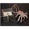 Image 1 : ANIMATRONIC TARANTULA SPIDER PUPPET INTACT WITH TRIGGERS