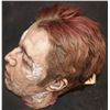 Image 2 : SEVERED SILICONE WITH HAIR AND GORE AT STUMP