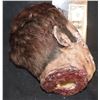 Image 3 : SEVERED SILICONE WITH HAIR AND GORE AT STUMP