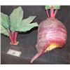 Image 2 : TURNIP HEAD FULL HEAD MASK