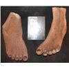Image 1 : CAVEMAN FEET MATCHED PAIR