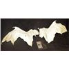 Image 1 : DRAGON MAQUETTE SIZE WING CASTINGS