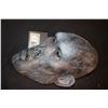 Image 2 : TROLL CREATURE ALIEN DEMON FULL HEAD MASK
