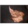 Image 2 : CREATURE ALIEN DEMON SCREEN USED HEAD PIECE ON MAKE UP TEST HEAD