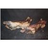 Image 2 : MORTAL KOMBAT GORO PAIR OF FEET 5