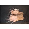 Image 2 : CREATURE ALIEN DEMON ARMS WITH HANDS WEARABLE MATCHED PAIR 4