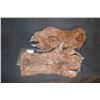 Image 1 : CREATURE ALIEN DEMON ARMS WITH HANDS WEARABLE MATCHED PAIR 6