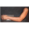 Image 2 : ANIMATRONIC ARM PUPPET WITH MECHANISMS ALL INTACT