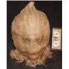 Image 1 : ANNABELLE CREATION PROTOTYPE SCARECROW HEAD MASK 2
